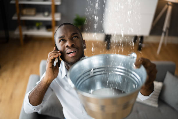 Best Water damage mitigation services  in Tifton, GA