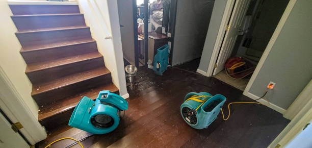 Best Water damage cleanup near me  in Tifton, GA