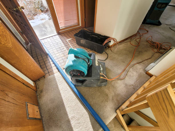 Best Residential water damage restoration  in Tifton, GA