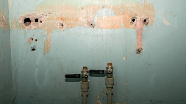 Best 24/7 water damage repair  in Tifton, GA