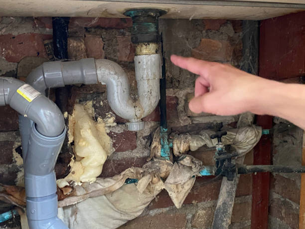 Best Professional water damage repair  in Tifton, GA